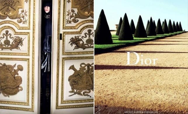 Вирусное видео Dior: экспертиза Socialbakers